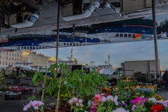 Vieux Port de Marseille Fleur