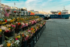 Vieux Port de Marseille Marché